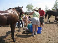 international/USA/2009FITS/gallery/AngieMcGhee/thumbnails/FITS Sat. 50 085-1.jpg